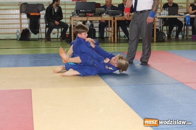 Zdjęcie w galerii na portalu naszwodzislaw.com: Trzy medale Mistrzostw Polski dla Octagon Team Junior wiadomości z regionu