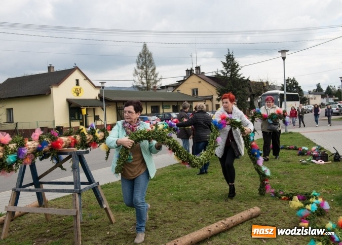 Zdjęcie w galerii na portalu naszwodzislaw.com: Ustawili 22-metrową palmę wielkanocną na festiwalu w partnerskiej gminie Frycovice wiadomości z regionu