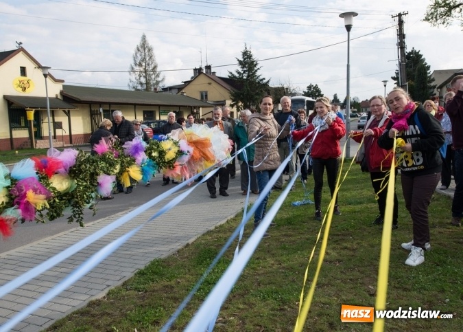 Zdjęcie w galerii na portalu naszwodzislaw.com: Ustawili 22-metrową palmę wielkanocną na festiwalu w partnerskiej gminie Frycovice wiadomości z regionu