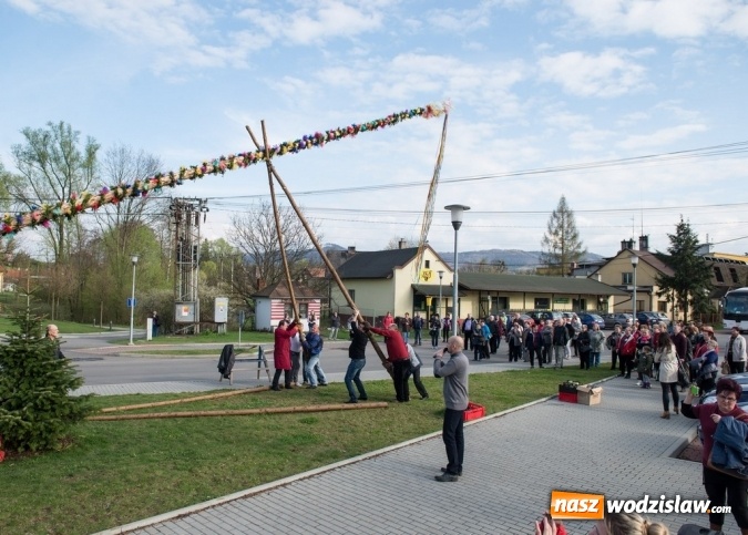 Zdjęcie w galerii na portalu naszwodzislaw.com: Ustawili 22-metrową palmę wielkanocną na festiwalu w partnerskiej gminie Frycovice wiadomości z regionu