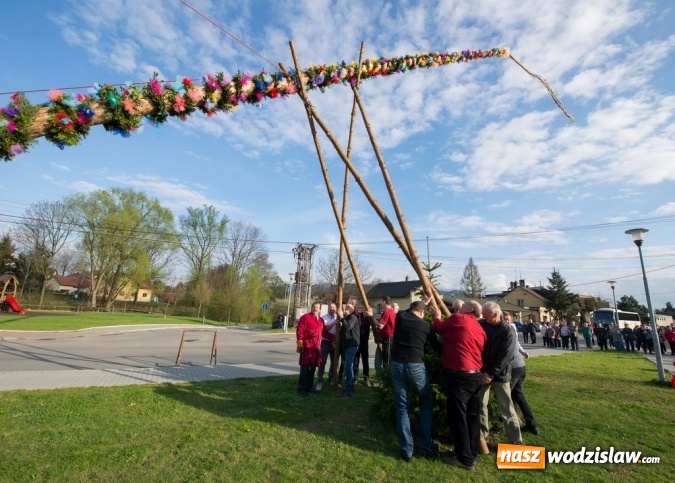 Zdjęcie w galerii na portalu naszwodzislaw.com: Ustawili 22-metrową palmę wielkanocną na festiwalu w partnerskiej gminie Frycovice wiadomości z regionu