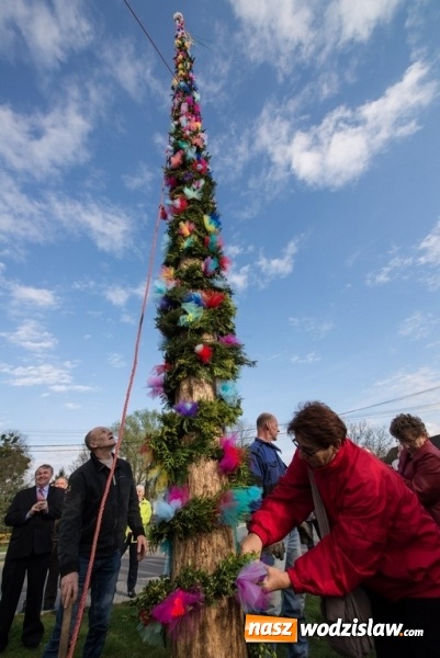 Zdjęcie w galerii na portalu naszwodzislaw.com: Ustawili 22-metrową palmę wielkanocną na festiwalu w partnerskiej gminie Frycovice wiadomości z regionu