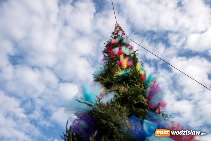 Zdjęcie w galerii na portalu naszwodzislaw.com: Ustawili 22-metrową palmę wielkanocną na festiwalu w partnerskiej gminie Frycovice wiadomości z regionu