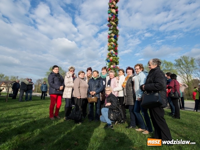 Zdjęcie w galerii na portalu naszwodzislaw.com: Ustawili 22-metrową palmę wielkanocną na festiwalu w partnerskiej gminie Frycovice wiadomości z regionu