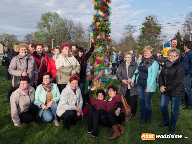 Zdjęcie w galerii na portalu naszwodzislaw.com: Ustawili 22-metrową palmę wielkanocną na festiwalu w partnerskiej gminie Frycovice wiadomości z regionu