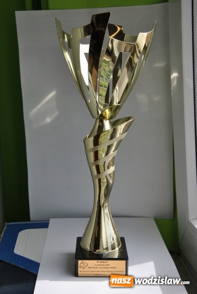 Zdjęcie w galerii na portalu naszwodzislaw.com: Kolejne złoto dla uczniów Zespołu Szkół Technicznych w Wodzisławiu Śl. wiadomości z regionu