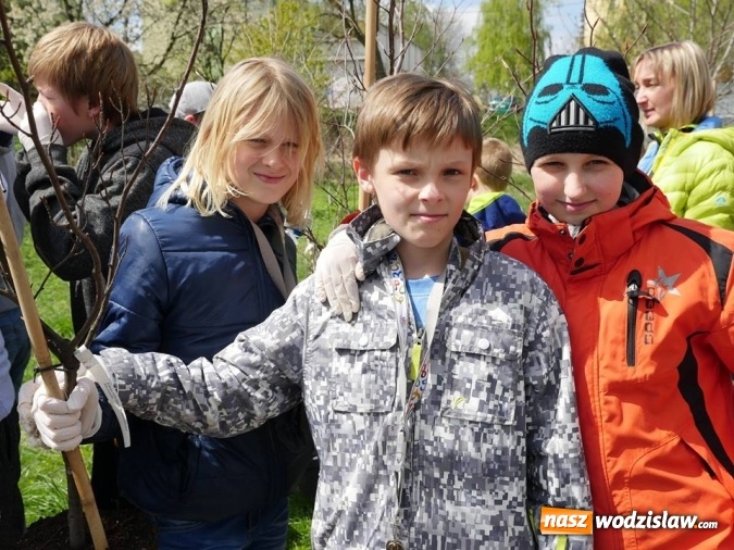 Zdjęcie w galerii na portalu naszwodzislaw.com: 760 drzew na 760-lecie Wodzisławia Śląskiego. Nowe nasadzenia na terenie miasta wiadomości z regionu