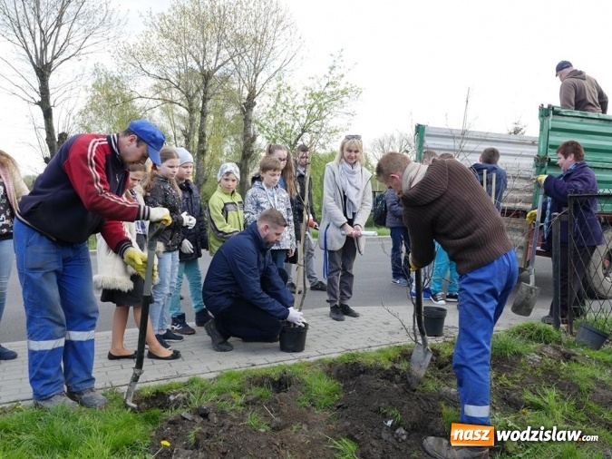 Zdjęcie w galerii na portalu naszwodzislaw.com: 760 drzew na 760-lecie Wodzisławia Śląskiego. Nowe nasadzenia na terenie miasta wiadomości z regionu