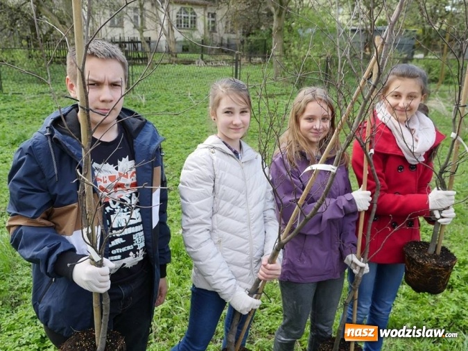 Zdjęcie w galerii na portalu naszwodzislaw.com: 760 drzew na 760-lecie Wodzisławia Śląskiego. Nowe nasadzenia na terenie miasta wiadomości z regionu