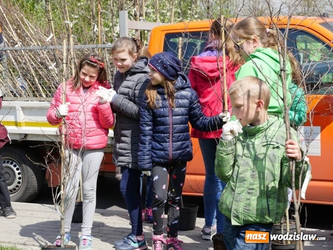 Zdjęcie w galerii na portalu naszwodzislaw.com: 760 drzew na 760-lecie Wodzisławia Śląskiego. Nowe nasadzenia na terenie miasta wiadomości z regionu