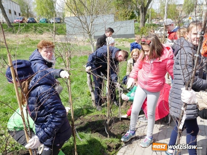 Zdjęcie w galerii na portalu naszwodzislaw.com: 760 drzew na 760-lecie Wodzisławia Śląskiego. Nowe nasadzenia na terenie miasta wiadomości z regionu