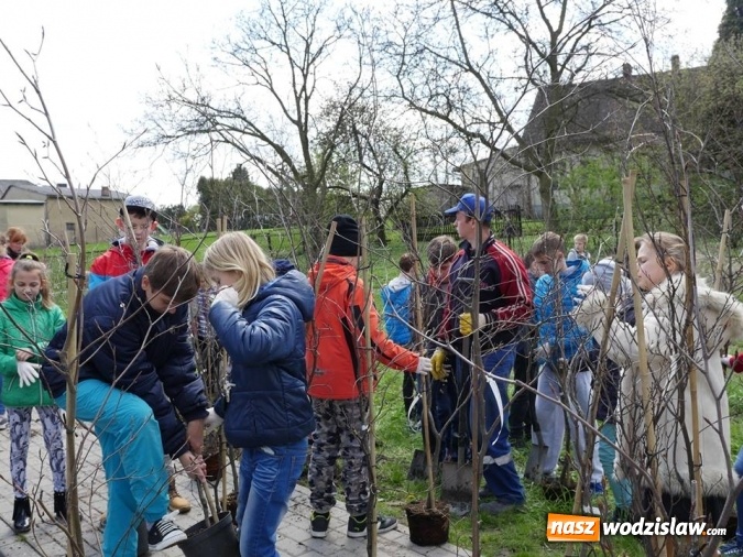 Zdjęcie w galerii na portalu naszwodzislaw.com: 760 drzew na 760-lecie Wodzisławia Śląskiego. Nowe nasadzenia na terenie miasta wiadomości z regionu