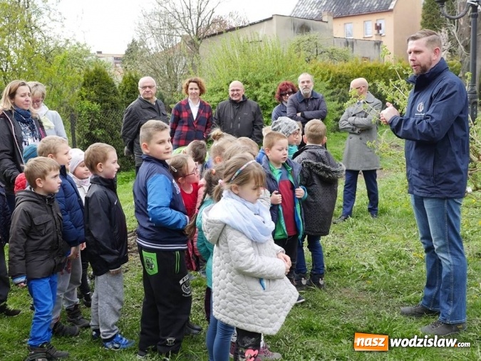 Zdjęcie w galerii na portalu naszwodzislaw.com: 760 drzew na 760-lecie Wodzisławia Śląskiego. Nowe nasadzenia na terenie miasta wiadomości z regionu