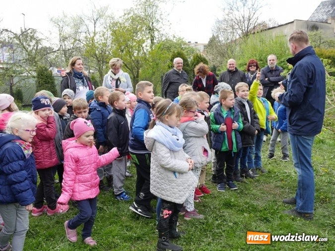 Zdjęcie w galerii na portalu naszwodzislaw.com: 760 drzew na 760-lecie Wodzisławia Śląskiego. Nowe nasadzenia na terenie miasta wiadomości z regionu