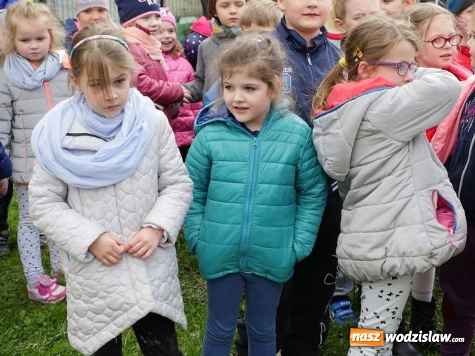 Zdjęcie w galerii na portalu naszwodzislaw.com: 760 drzew na 760-lecie Wodzisławia Śląskiego. Nowe nasadzenia na terenie miasta wiadomości z regionu