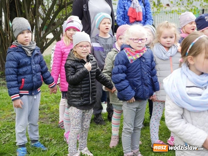 Zdjęcie w galerii na portalu naszwodzislaw.com: 760 drzew na 760-lecie Wodzisławia Śląskiego. Nowe nasadzenia na terenie miasta wiadomości z regionu