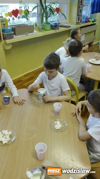 Zdjęcie w galerii na portalu naszwodzislaw.com: Dzieciaki Mleczaki. Wodzisławska czwórka włączyła się w Ogólnopolski Program Edukacyjno - Informacyjny wiadomości z regionu