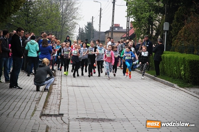 Zdjęcie w galerii na portalu naszwodzislaw.com: Radliński Bieg Ekologiczny wystartował już po raz dwudziesty drugi wiadomości z regionu