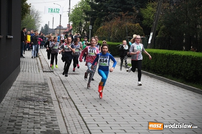 Zdjęcie w galerii na portalu naszwodzislaw.com: Radliński Bieg Ekologiczny wystartował już po raz dwudziesty drugi wiadomości z regionu