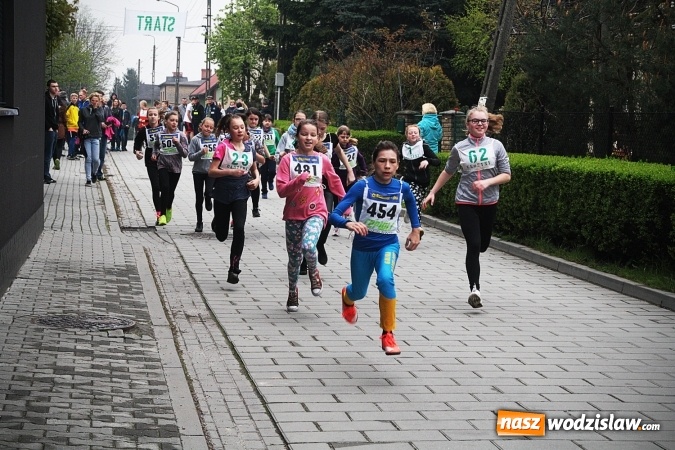 Zdjęcie w galerii na portalu naszwodzislaw.com: Radliński Bieg Ekologiczny wystartował już po raz dwudziesty drugi wiadomości z regionu