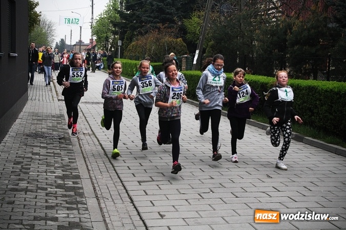 Zdjęcie w galerii na portalu naszwodzislaw.com: Radliński Bieg Ekologiczny wystartował już po raz dwudziesty drugi wiadomości z regionu