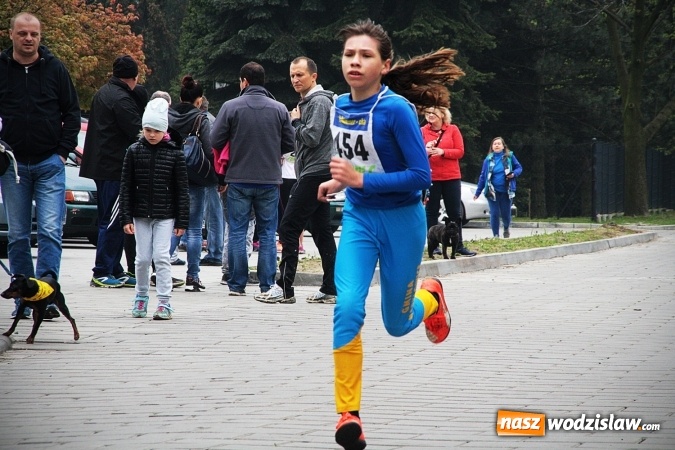 Zdjęcie w galerii na portalu naszwodzislaw.com: Radliński Bieg Ekologiczny wystartował już po raz dwudziesty drugi wiadomości z regionu