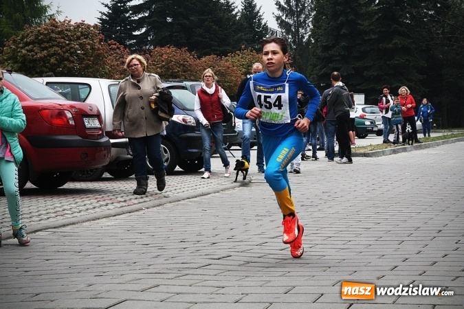 Zdjęcie w galerii na portalu naszwodzislaw.com: Radliński Bieg Ekologiczny wystartował już po raz dwudziesty drugi wiadomości z regionu