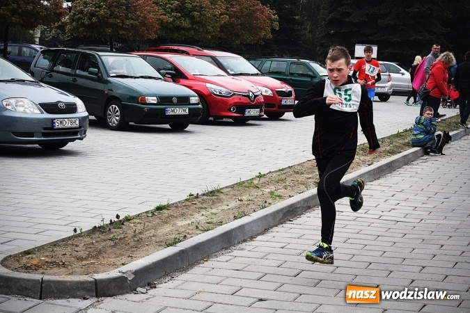 Zdjęcie w galerii na portalu naszwodzislaw.com: Radliński Bieg Ekologiczny wystartował już po raz dwudziesty drugi wiadomości z regionu