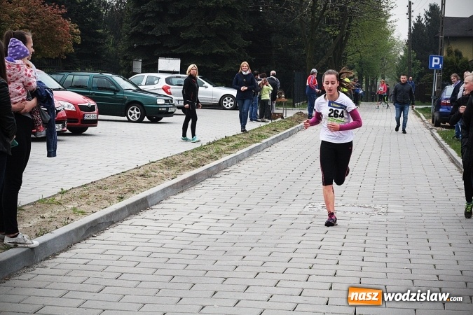 Zdjęcie w galerii na portalu naszwodzislaw.com: Radliński Bieg Ekologiczny wystartował już po raz dwudziesty drugi wiadomości z regionu