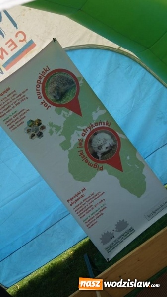 Zdjęcie w galerii na portalu naszwodzislaw.com: Pokaz zwierząt w Rodzinnym Parku Rozrywki wiadomości z regionu