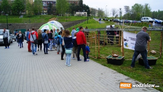 Zdjęcie w galerii na portalu naszwodzislaw.com: Pokaz zwierząt w Rodzinnym Parku Rozrywki wiadomości z regionu