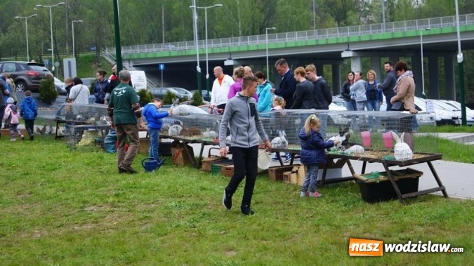 Zdjęcie w galerii na portalu naszwodzislaw.com: Pokaz zwierząt w Rodzinnym Parku Rozrywki wiadomości z regionu