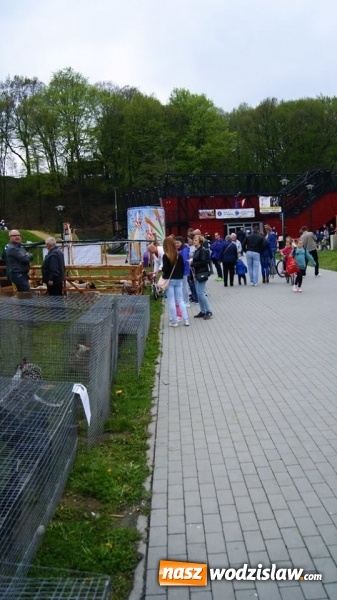 Zdjęcie w galerii na portalu naszwodzislaw.com: Pokaz zwierząt w Rodzinnym Parku Rozrywki wiadomości z regionu