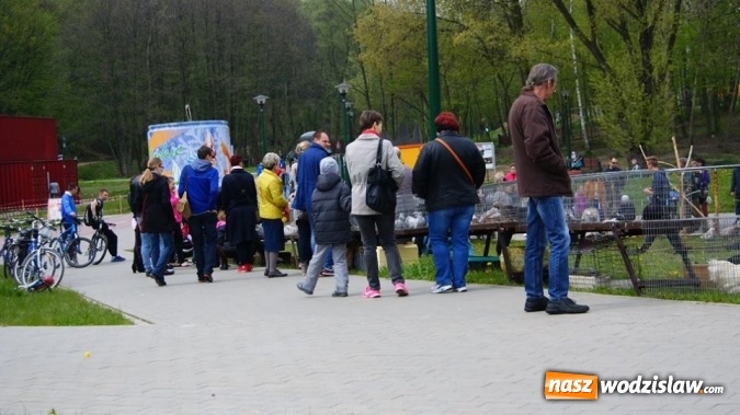 Zdjęcie w galerii na portalu naszwodzislaw.com: Pokaz zwierząt w Rodzinnym Parku Rozrywki wiadomości z regionu