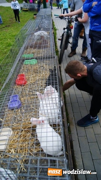 Zdjęcie w galerii na portalu naszwodzislaw.com: Pokaz zwierząt w Rodzinnym Parku Rozrywki wiadomości z regionu