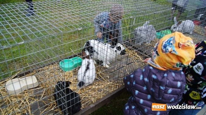 Zdjęcie w galerii na portalu naszwodzislaw.com: Pokaz zwierząt w Rodzinnym Parku Rozrywki wiadomości z regionu