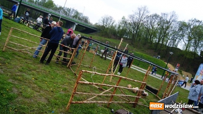 Zdjęcie w galerii na portalu naszwodzislaw.com: Pokaz zwierząt w Rodzinnym Parku Rozrywki wiadomości z regionu