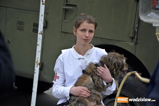 Zdjęcie w galerii na portalu naszwodzislaw.com: 7. Piknik Historyczno-Militarny. FOTORELACJA wiadomości z regionu