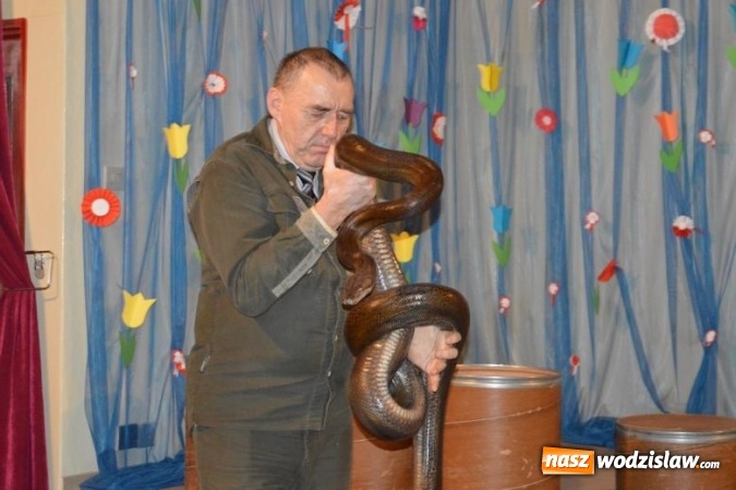 Zdjęcie w galerii na portalu naszwodzislaw.com: Gady w SP 28 i G3, czyli żywa lekcja biologii wiadomości z regionu