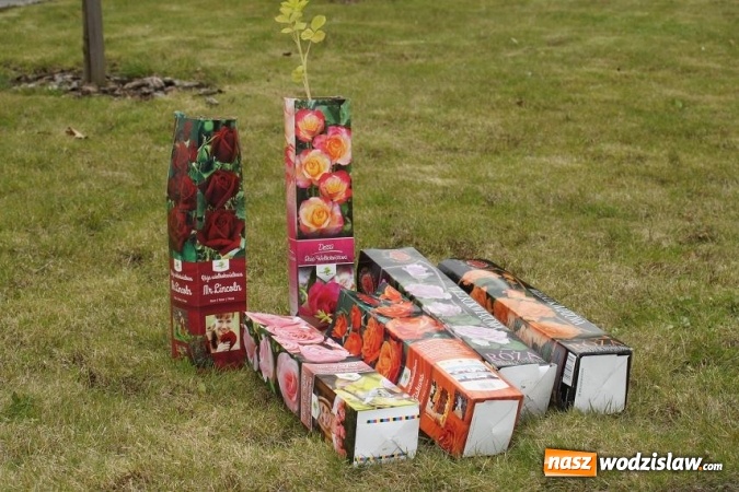 Zdjęcie w galerii na portalu naszwodzislaw.com: Tak Gmina Mszana obchodziła Międzynarodowy Dzień Ziemi wiadomości z regionu