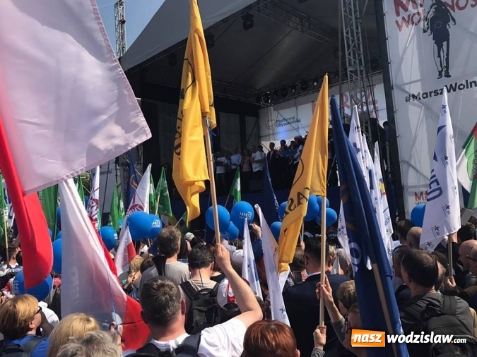 Zdjęcie w galerii na portalu naszwodzislaw.com: Kieca: 