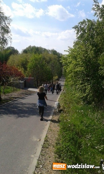 Zdjęcie w galerii na portalu naszwodzislaw.com: 
