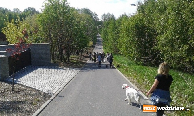 Zdjęcie w galerii na portalu naszwodzislaw.com: 