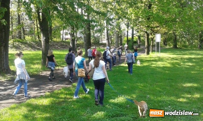 Zdjęcie w galerii na portalu naszwodzislaw.com: 