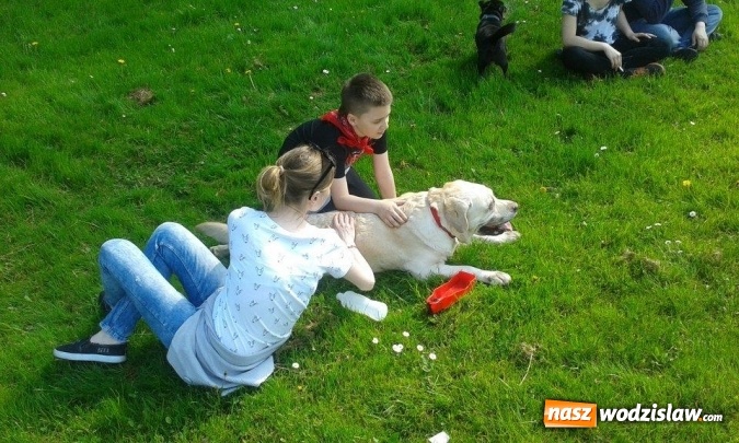 Zdjęcie w galerii na portalu naszwodzislaw.com: 