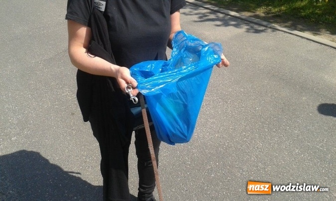 Zdjęcie w galerii na portalu naszwodzislaw.com: 