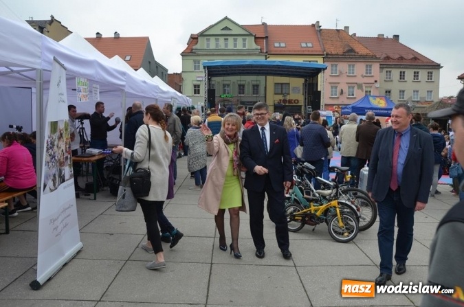 Zdjęcie w galerii na portalu naszwodzislaw.com: Festiwal Organizacji Pozarządowych już za nami! wiadomości z regionu