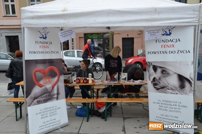 Zdjęcie w galerii na portalu naszwodzislaw.com: Festiwal Organizacji Pozarządowych już za nami! wiadomości z regionu