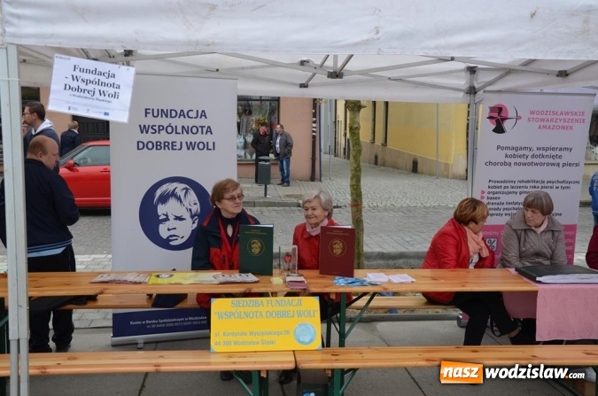 Zdjęcie w galerii na portalu naszwodzislaw.com: Festiwal Organizacji Pozarządowych już za nami! wiadomości z regionu
