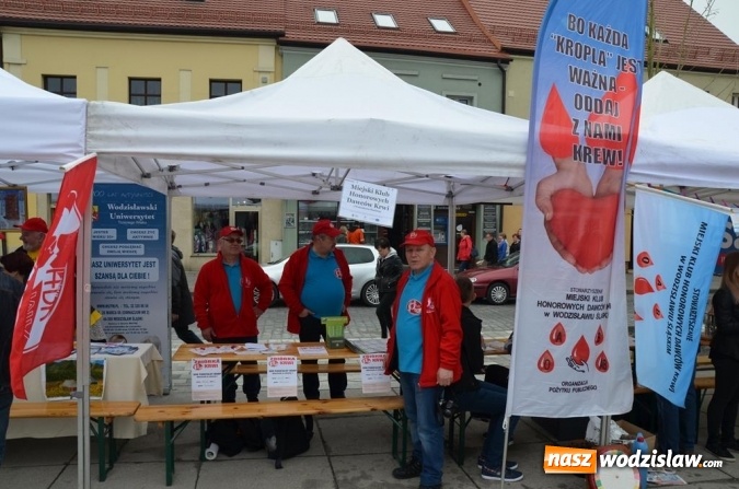 Zdjęcie w galerii na portalu naszwodzislaw.com: Festiwal Organizacji Pozarządowych już za nami! wiadomości z regionu